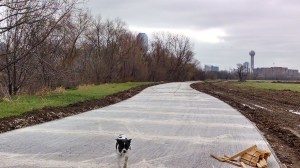 IMG_20131222_111740231_HDR